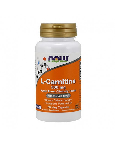 0070 - l-carnitine-500-mg