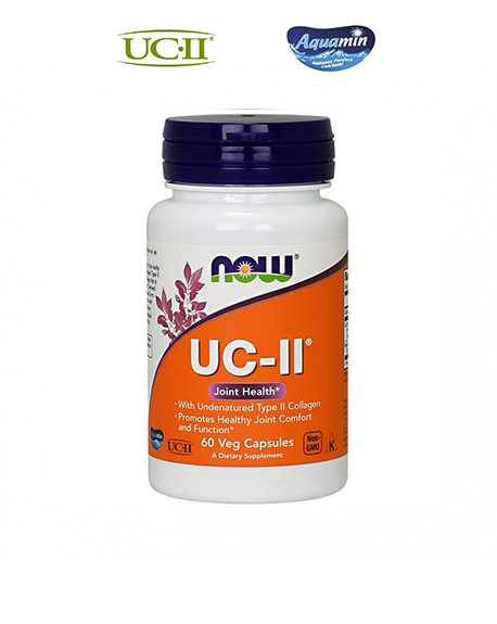 3134 - colagenio-uc-ii