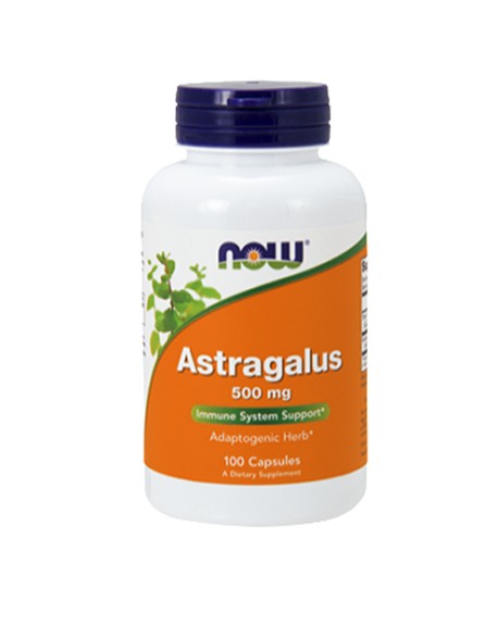 4605 - astragalus