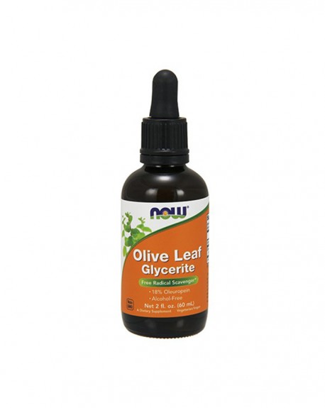 4898 - olive-leaf-glycerite-18-liquid