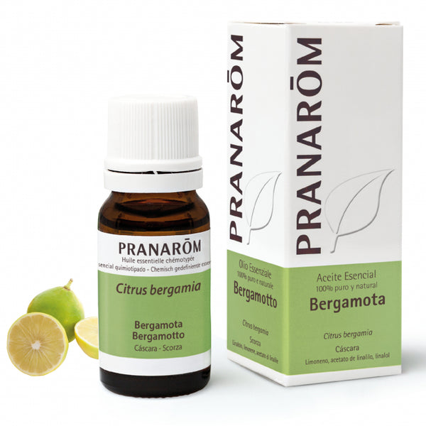 bergamota