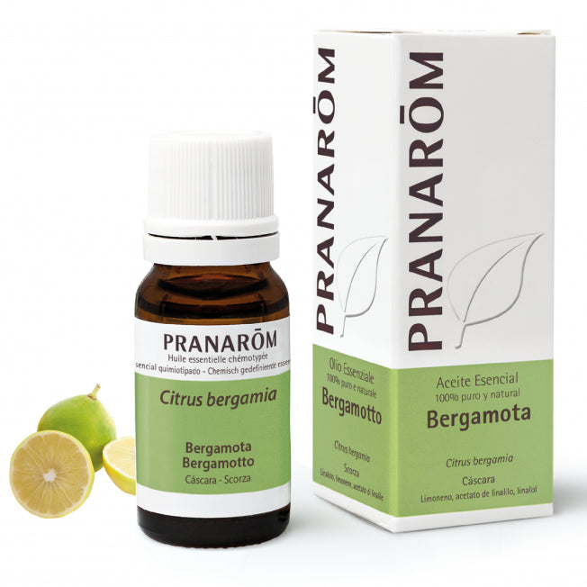 bergamota