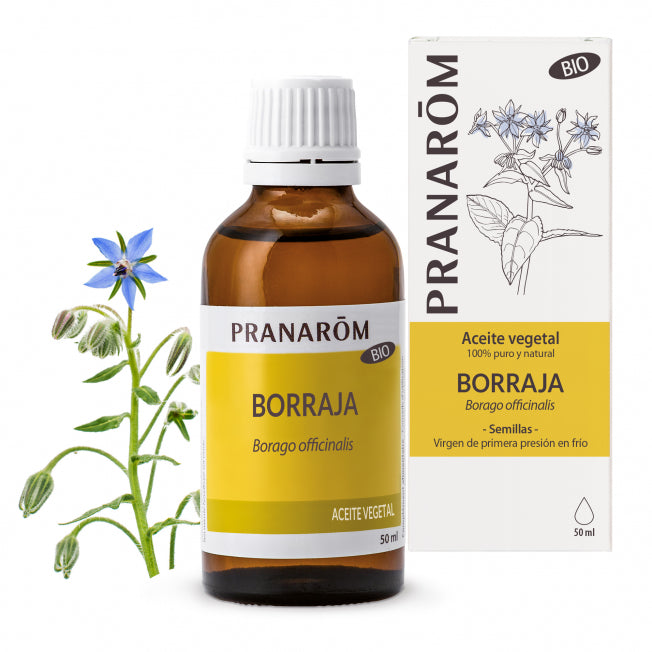 borraja