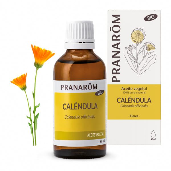 calendula