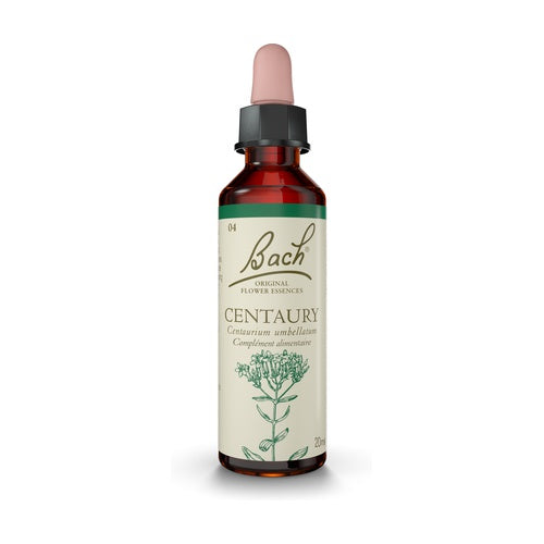 centaury