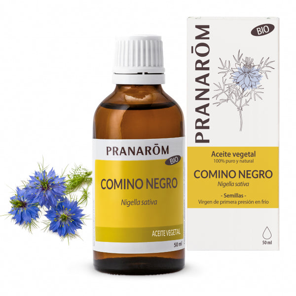 comino-negro