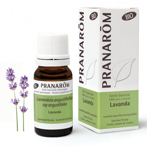 lavanda (1)