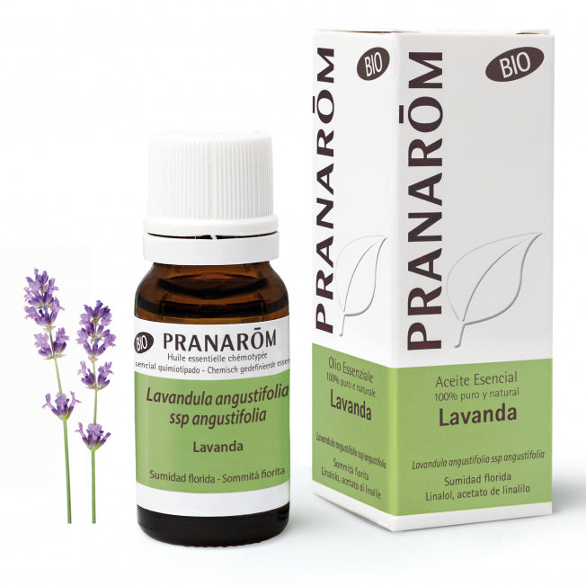 lavanda (1)