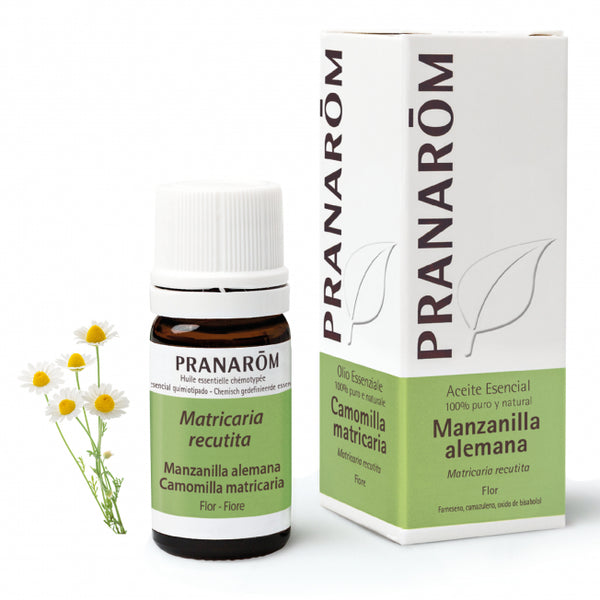 manzanilla-alemana