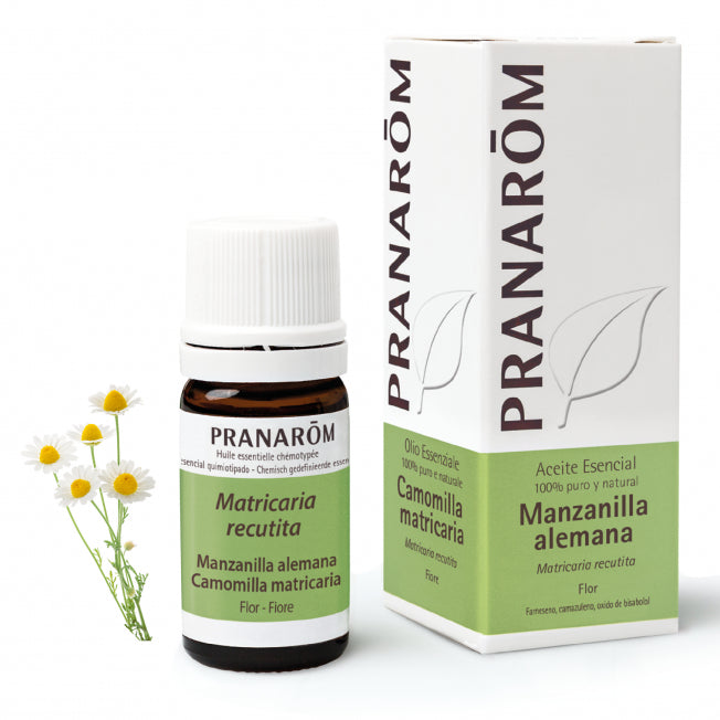 manzanilla-alemana