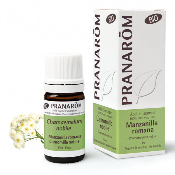 manzanilla-romana