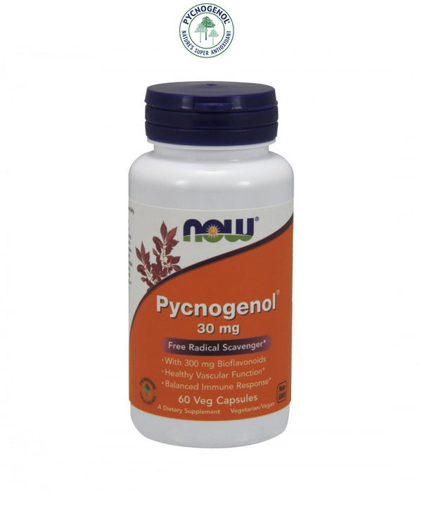 pycnogenol