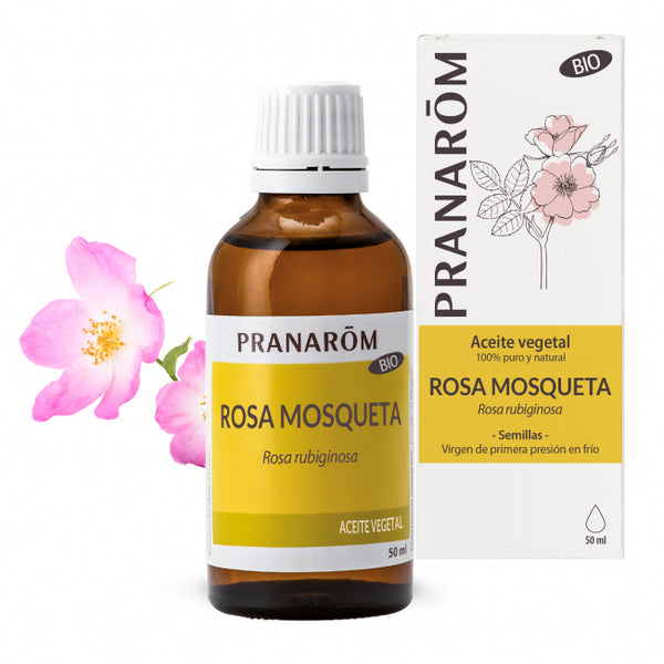 rosa-mosqueta